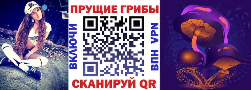 Псилоцибиновые грибы мицелий  купить   Николаевск-на-Амуре 